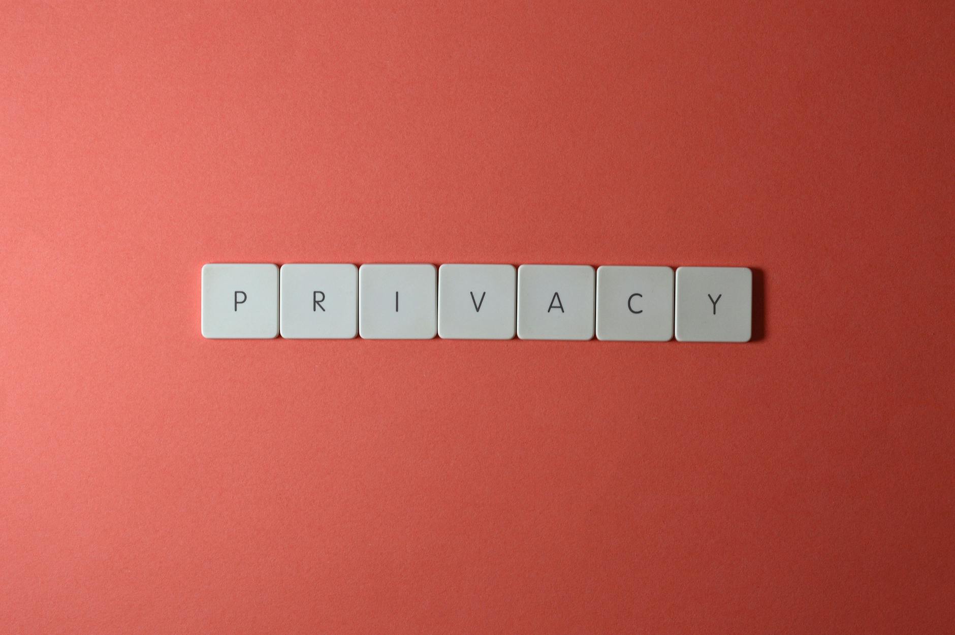 data privacy guide