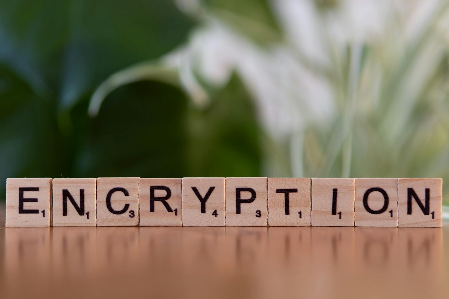 DNS Security 2026