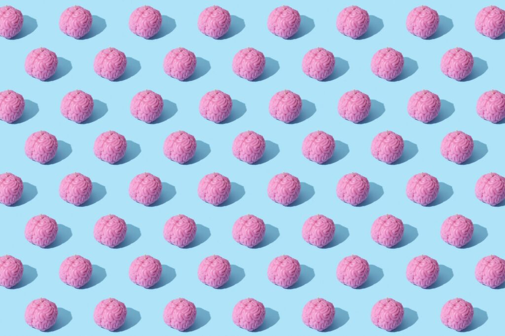 Build a Second Brain with AI